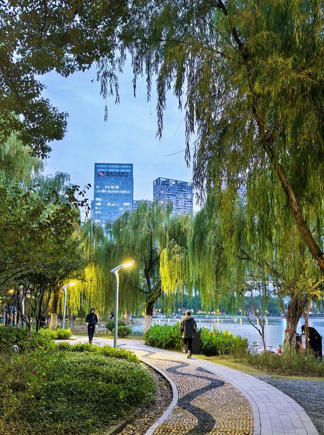 合肥天鵝湖｜暮色時分邂逅城市浪漫天際線