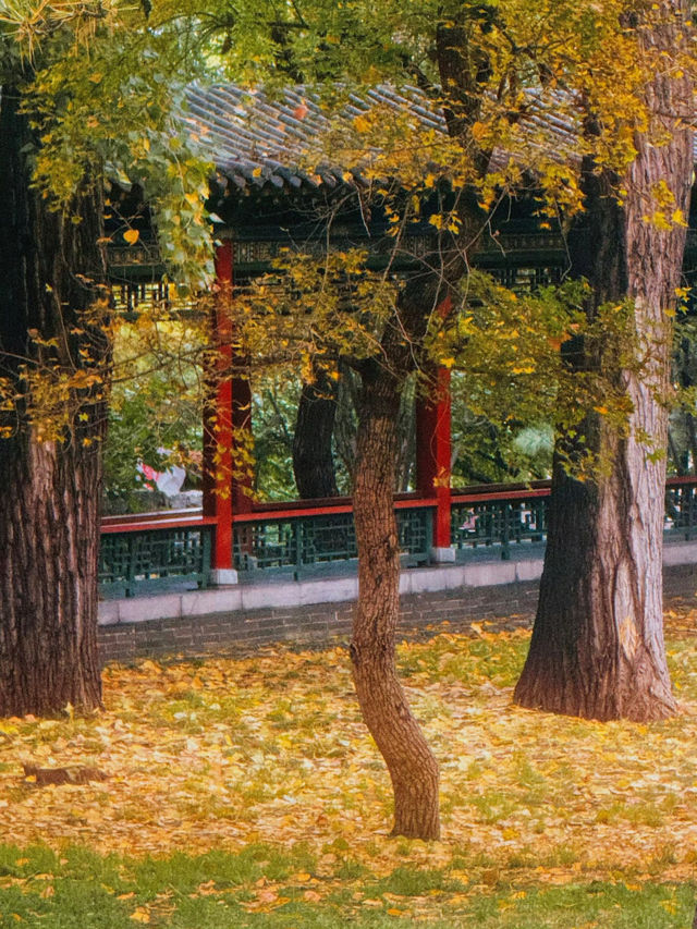 住如家太原雙塔東街店，邂逅千年晉祠古韻