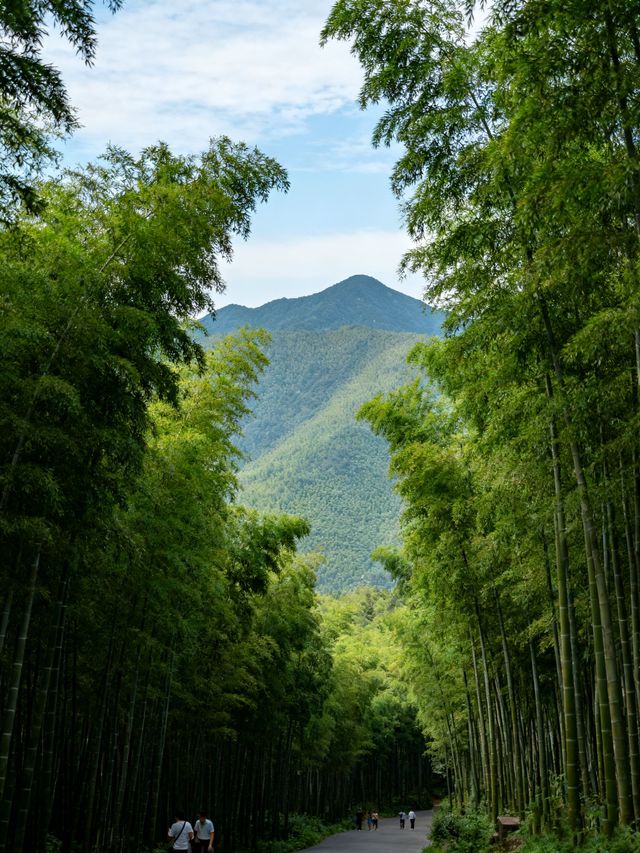 溧陽必打卡景點竹海湖景全攻略