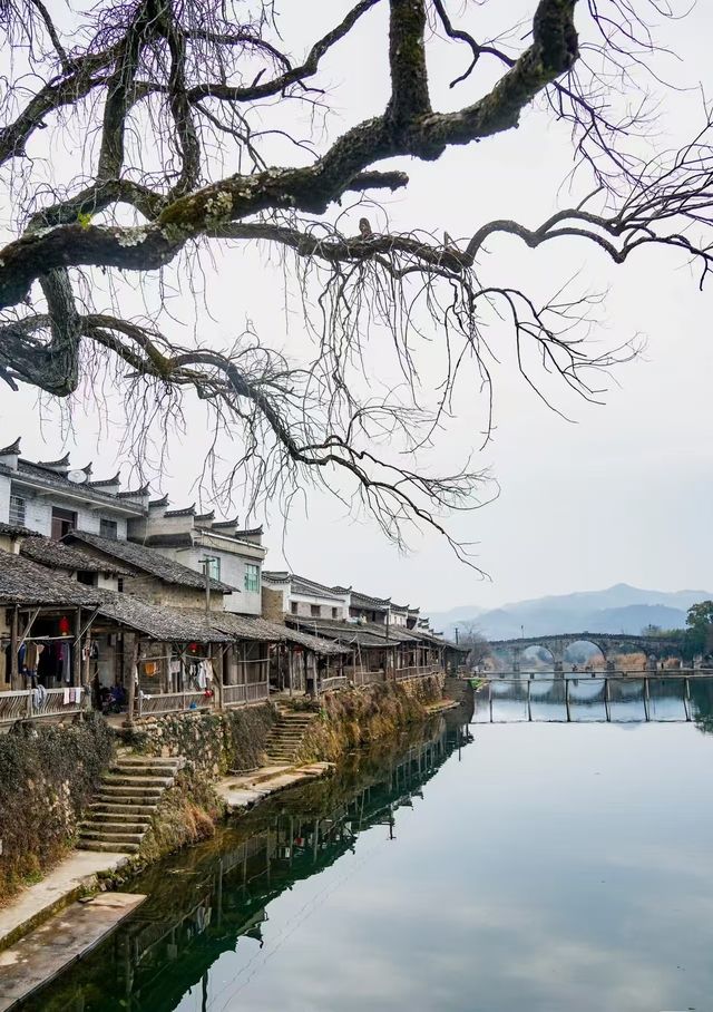 那布滿苔痕的青石碼頭與蜿蜒老巷 那布滿苔痕的青石碼頭與蜿蜒老巷