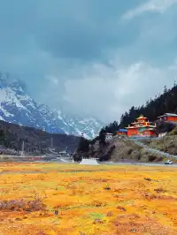 波密小眾景點