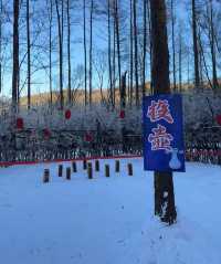 哈爾濱到亞布力 | 十里畫廊的冰雪綺夢