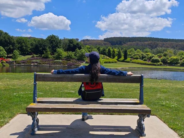 藍山腳下的秘密花園梅菲爾德絕美打卡攻略