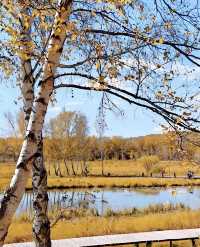 河北私藏!張北壩上3天2夜攻略,解鎖草原自由與避坑指南