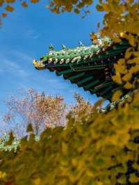 五老峰·秋|運城「雲端金脊」上線!