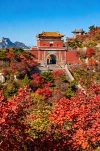 秋遊必看濟南-泰安-濟寧這樣玩才爽