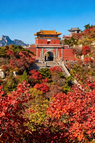 Autumn Trip Must-See: Jinan - Tai'an - Jining, This Is How to Enjoy It