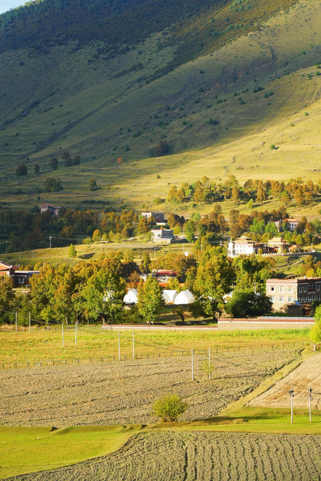 日落剪影絕美打卡點 日落剪影絕美打卡點