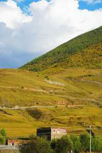 日落剪影絕美打卡點