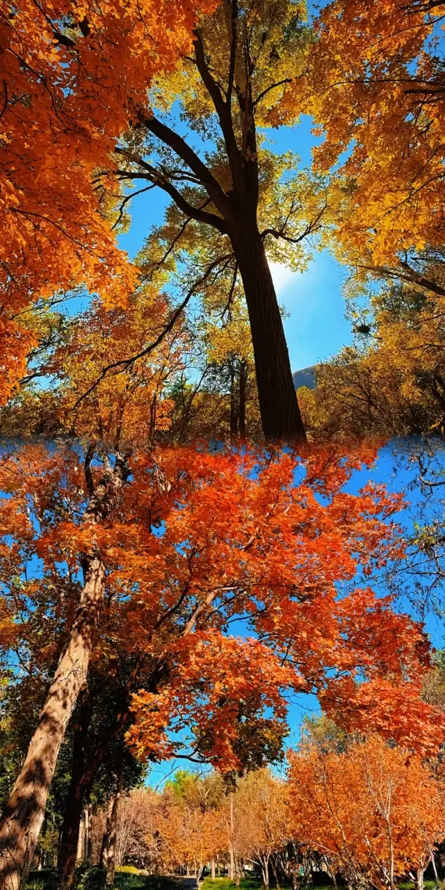 北京這座小眾寶藏山，我私藏了！