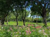 獨享靜謐花海秘境