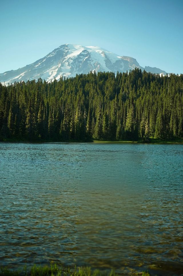 西雅圖兩日遊暴走指南