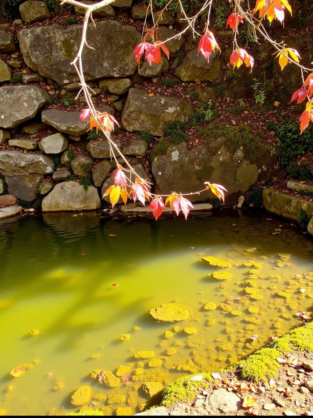 【小隴山國家森林公園】!呢度簡直就係上帝打翻嘅調色盤,靚到我 【小隴山國家森林公園】!呢度簡直就係上帝打翻嘅調色盤,靚到我
