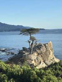 農曆新年外遊打卡美國經典一號公路