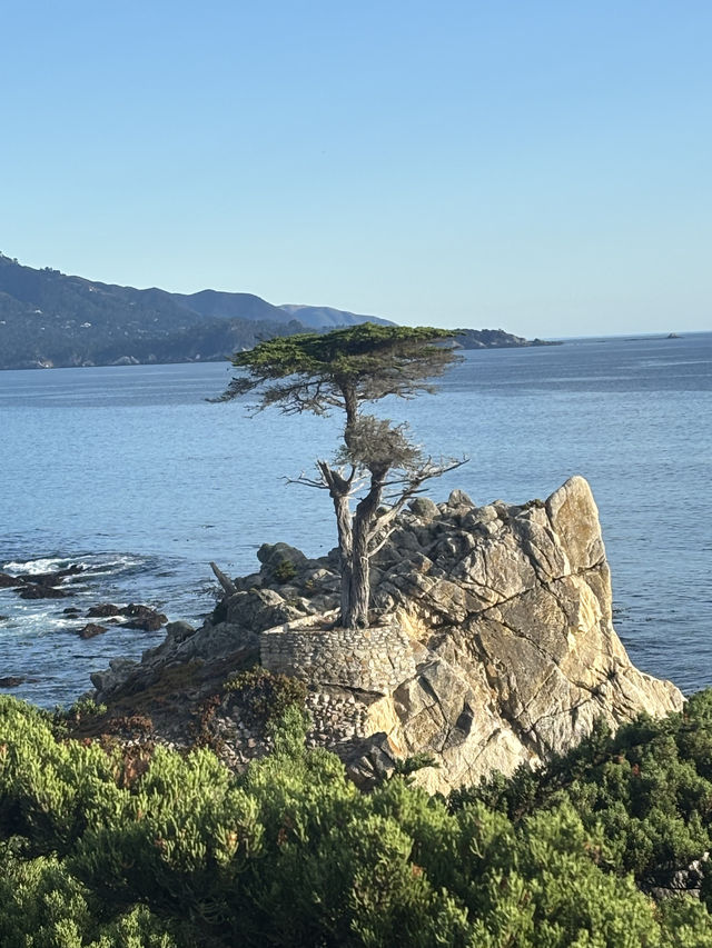 農曆新年外遊打卡美國經典一號公路