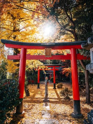 Kyoto Ginkgo Map Check-in Guide