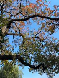 這個公園必須得去啊