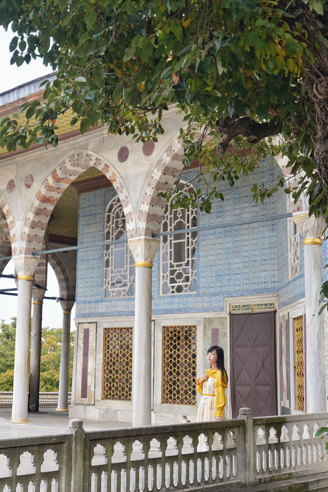 微醺的暖陽， 在深秋的涼意裡， 照亮了這個世界， 海泛著粼粼波光， 藍的如此透徹， 都說伊斯坦堡的