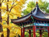 驚艷！這才是北方秋景天花板野三坡保姆級攻略來啦