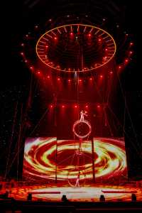 宿遷森迪隱藏彩蛋!大馬戲終點才是快樂暴擊