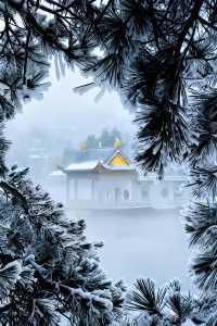 今年冬天一定要來廬山看雪！