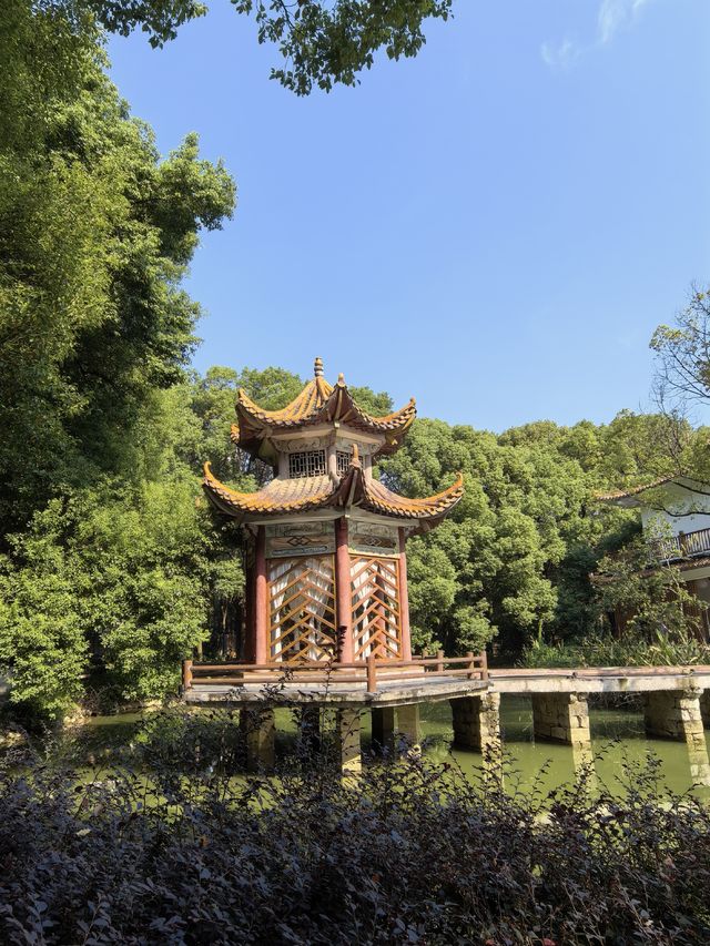 隱藏在南昌市區的千年古寺 隱藏在南昌市區的千年古寺