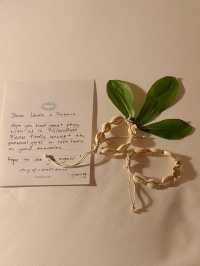 Enchanting Stay at Pramana Bali