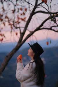 在溫州拍到了刷爆朋友圈的“柿柿”如意