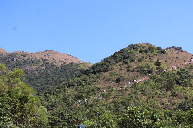 香港大東山,秋日芒草的夢幻之旅! 香港大東山,秋日芒草的夢幻之旅!