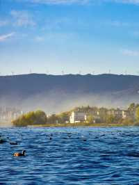 11月的大理，是打翻了的調色盤啊！附超全攻略