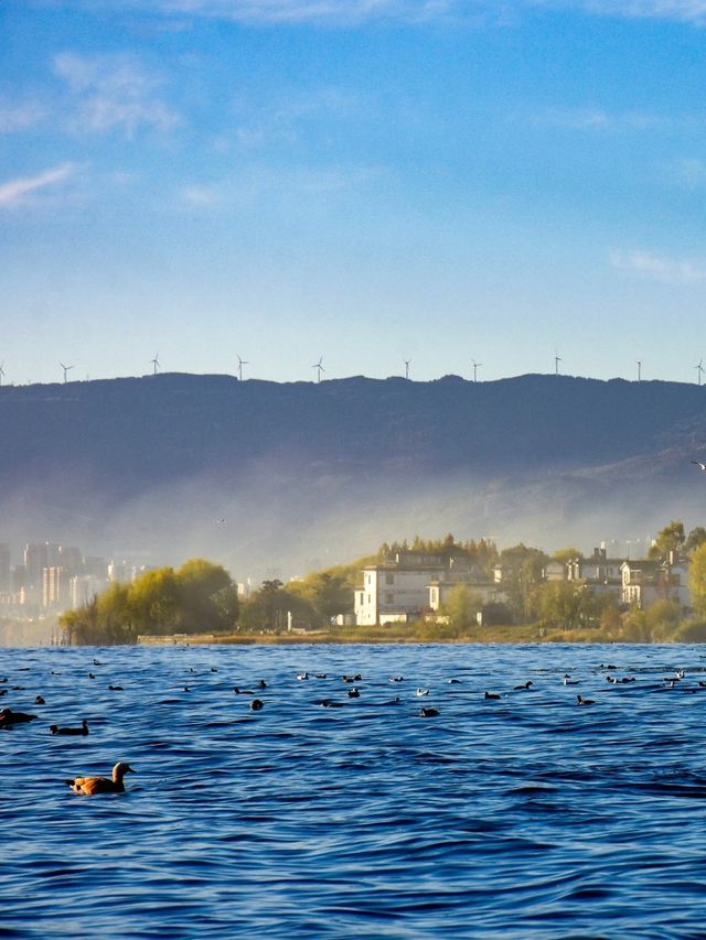 11月的大理，是打翻了的調色盤啊！附超全攻略