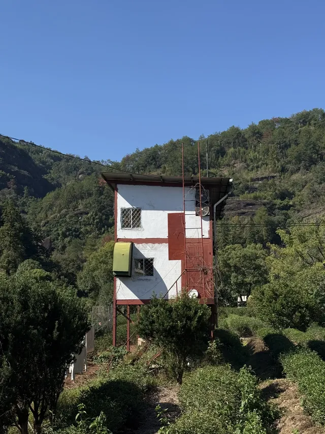 福建武夷山,徒步在最美茶道,看盡丹霞風貌 福建武夷山,徒步在最美茶道,看盡丹霞風貌