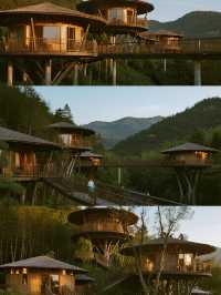 莫干山親子頂流！開元森泊帶娃玩到不想走