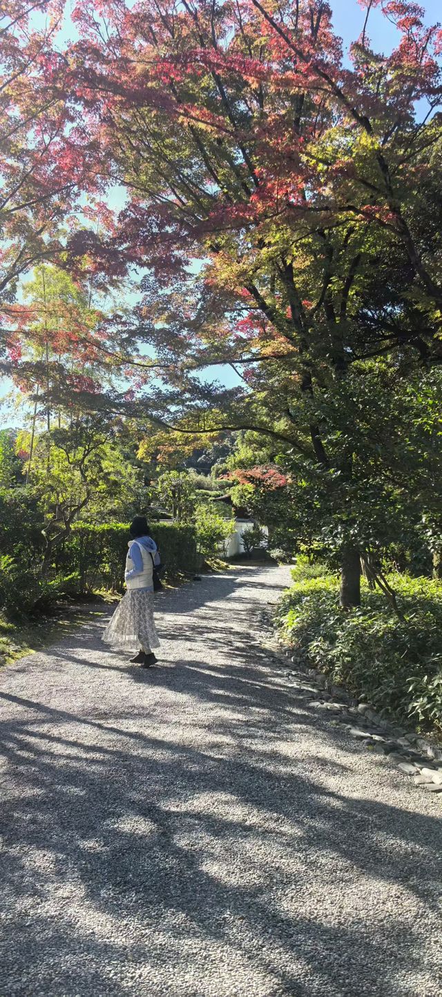 木曾川邊白帝城：犬山