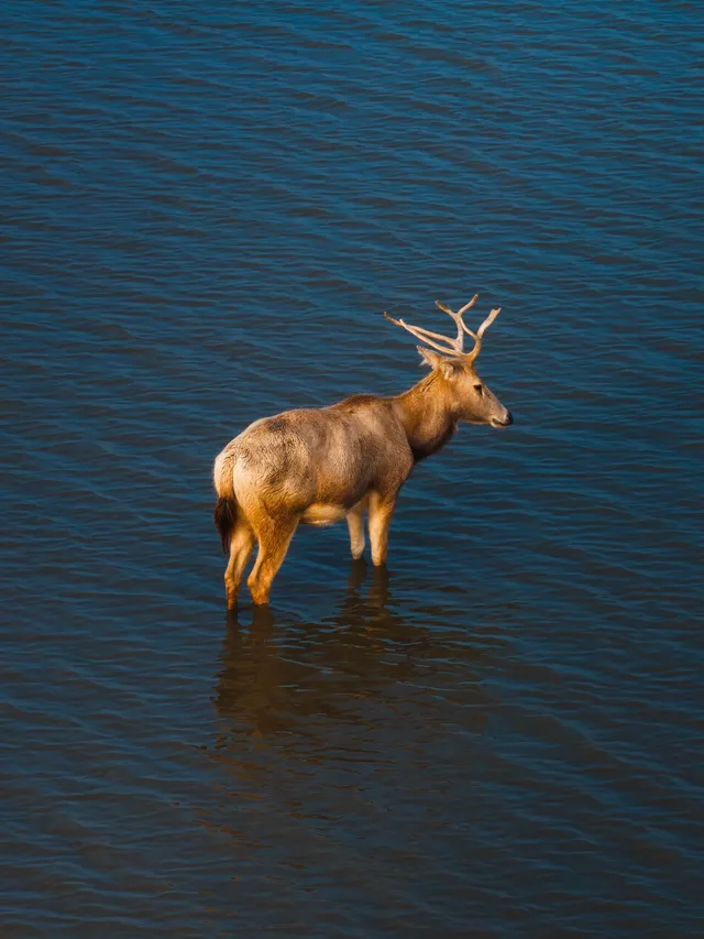 鹽城丨朋友都以為我去了肯尼亞 鹽城丨朋友都以為我去了肯尼亞
