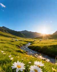祁連山草原·天境漫遊指南 | 闖入東方瑞士,策馬奔騰在雲端牧場