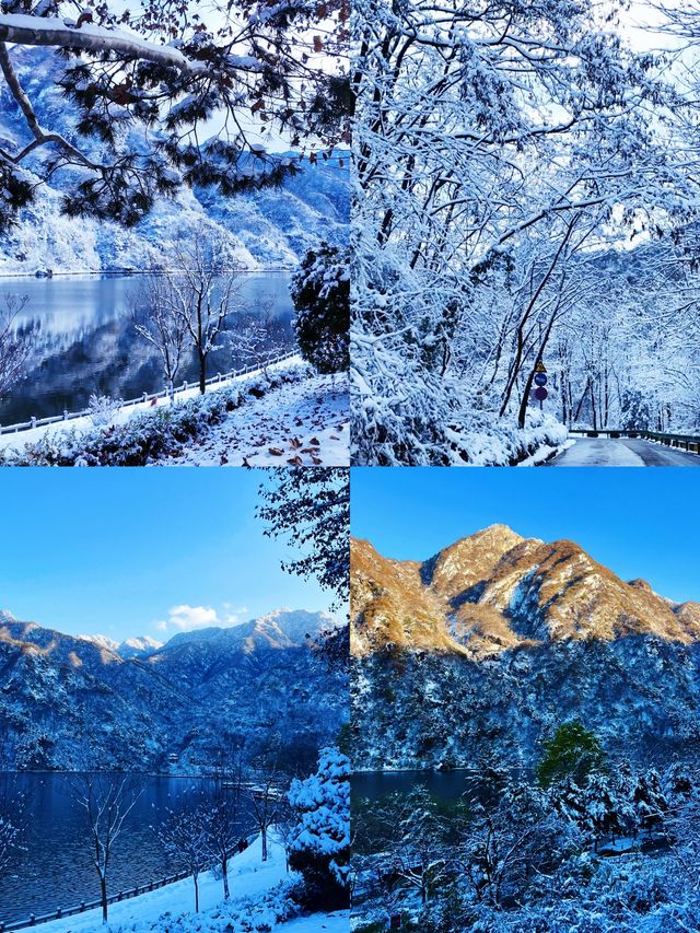 玉塵飛瀑，瓊枝漫山！快來捕捉翠華山的冬日限定浪漫~