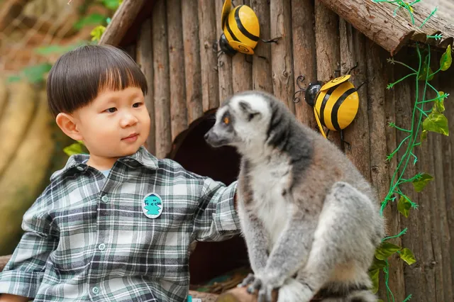 2h直達上海周邊遛娃聖地南通野生動物