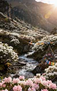 橫斷山脈秘境探奇