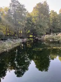 上海植物園！藏在市區的森林秘境