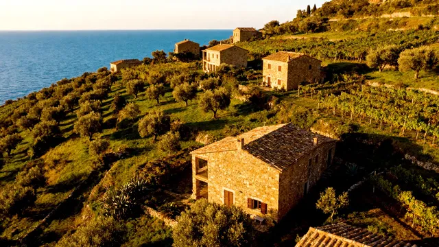 4個被低估的海島盲盒玩法