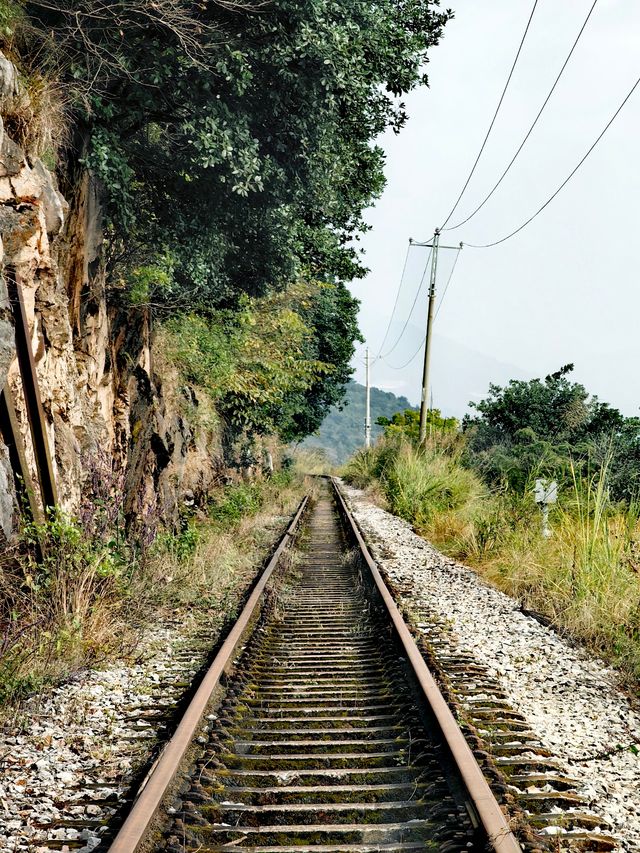 在昆明陽宗海旁竟然藏著一條停用的百年米軌鐵路 在昆明陽宗海旁竟然藏著一條停用的百年米軌鐵路