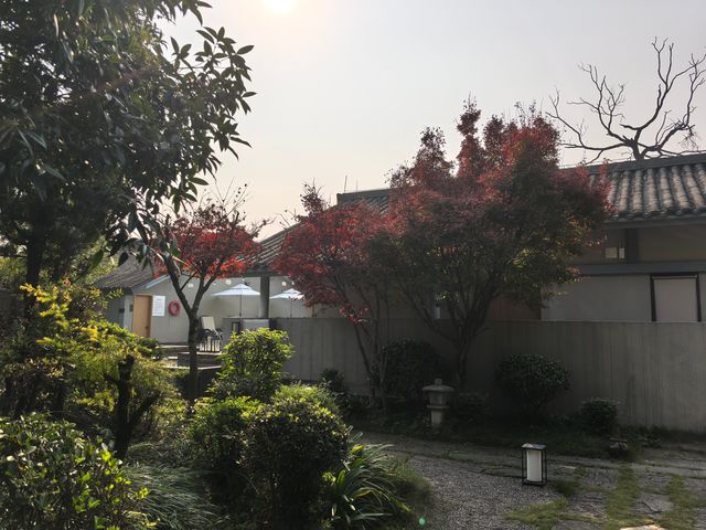 樂山旅遊必住！江景民宿直面樂山大佛