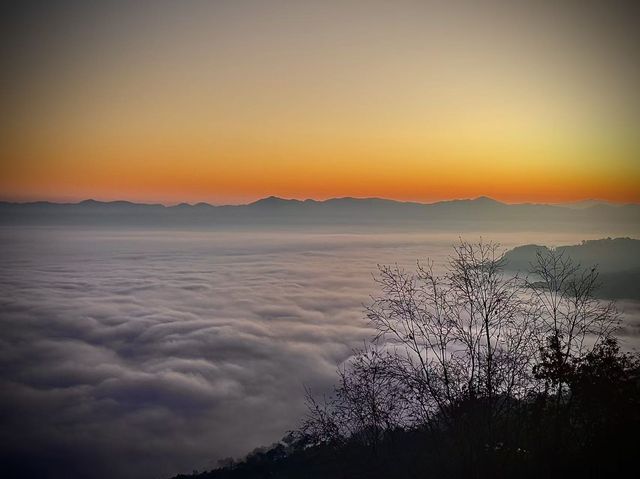 景邁山年度最佳雲海日出觀賞季 景邁山年度最佳雲海日出觀賞季