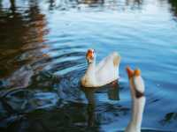 在「江南第一村」呈坎，我找到了徽州最原始的光影密碼。