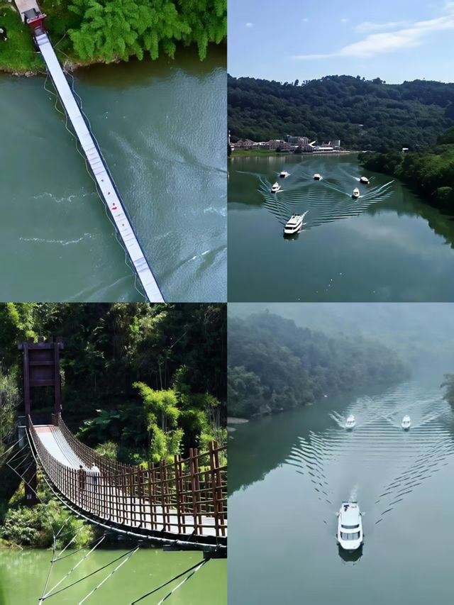 桫欏湖邀您共赴一場自然與人文的盛宴之約