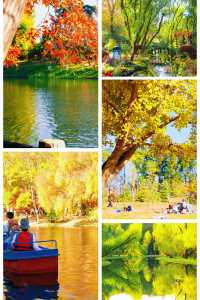 超全攻略!冬日共青森林公園賞秋絕了