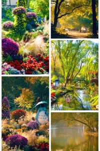 超全攻略!冬日共青森林公園賞秋絕了