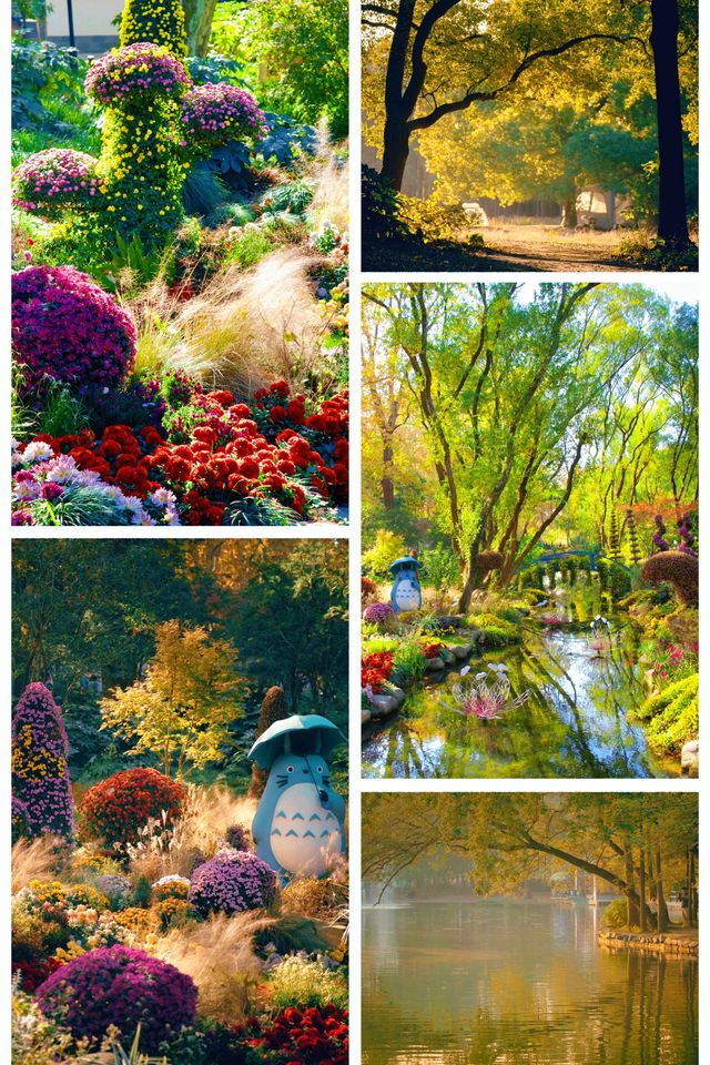 超全攻略!冬日共青森林公園賞秋絕了 超全攻略!冬日共青森林公園賞秋絕了