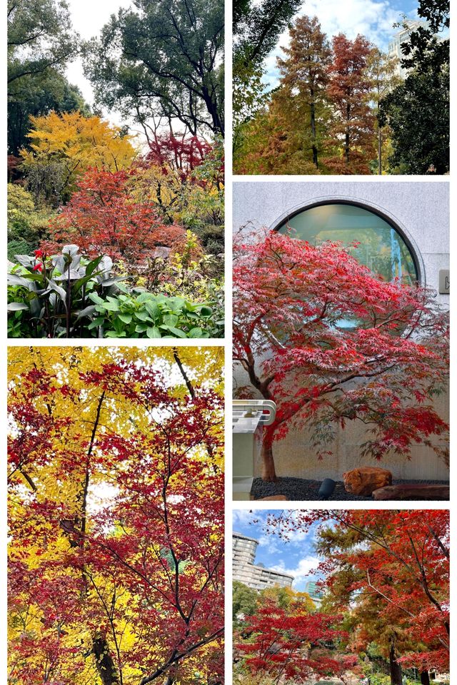 上海小京都這片楓葉階梯美到窒息!人少速來! 上海小京都這片楓葉階梯美到窒息!人少速來!